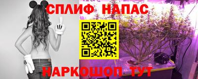 спиды Гусь-Хрустальный