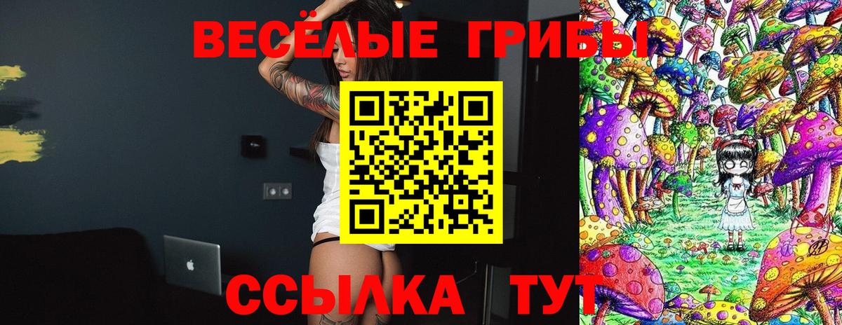Малоярославец  Псилоцибиновые грибы GOLDEN TEACHER  Вход с VPN 