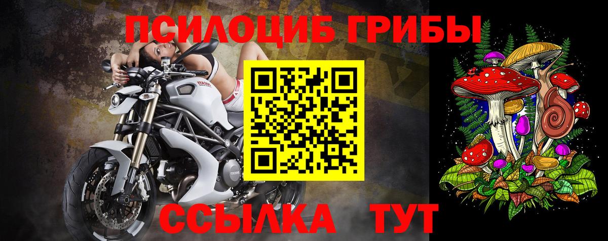 Галлюциногенные грибы мицелий Малоярославец